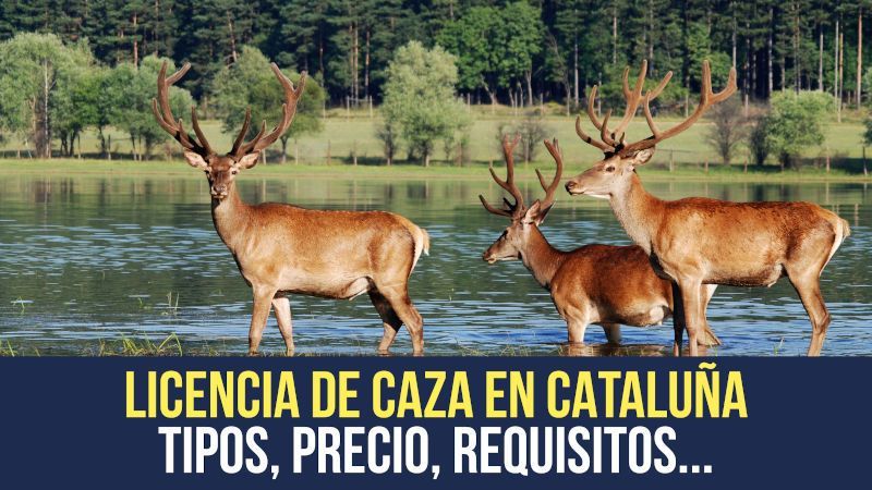 licencia de caza cataluña